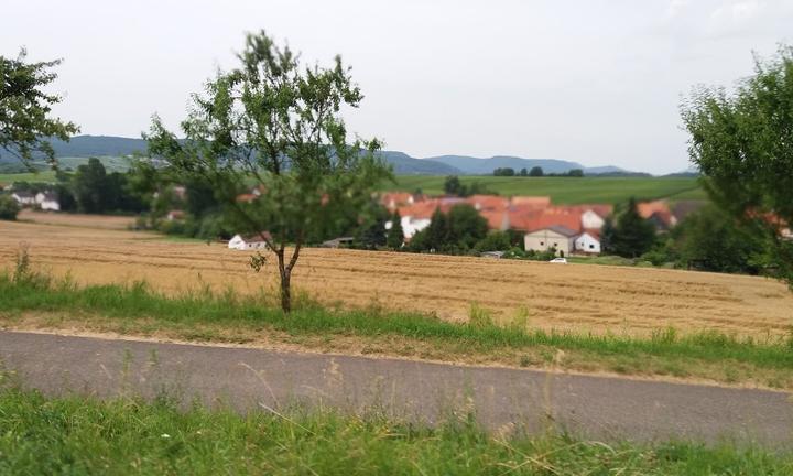 Weingut - Weinstube - Gaestehaus Muehlhaeuser